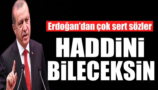 Erdoğan dan ırkçı Wilders a sert tepki: Haddini bileceksin!