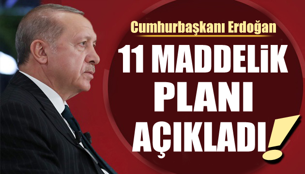 Cumhurbaşkanı Erdoğan tarihi eylem planını açıkladı