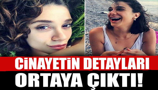 Pınar Gültekin in cansız bedeni bulundu!