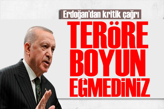 Erdoğan dan yurt dışındaki seçmene kritik çağrı: Teröre boyun eğmediniz