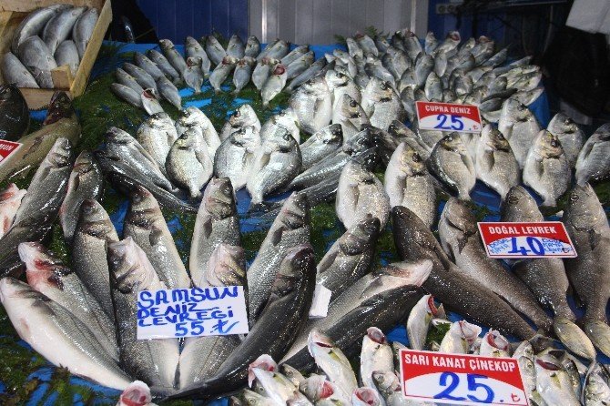 Bakan talimat verdi: Balıklar maliyetine satılacak