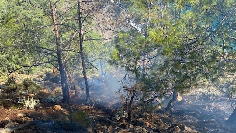 Kastamonu’da ormanlık alanda çıkan yangın kontrol altında