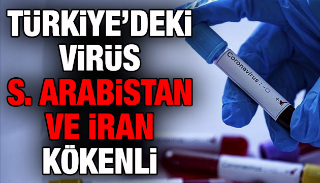 Türkiye’deki virüs S. Arabistan ve İran kökenli