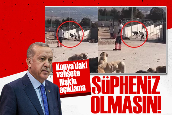 Erdoğan dan barınak vahşetiyle ilgili açıklama: Kimse şüphe etmesin