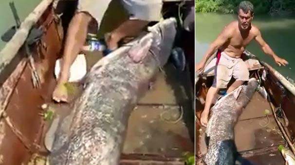 Adana da 3 metrelik balık yakalandı