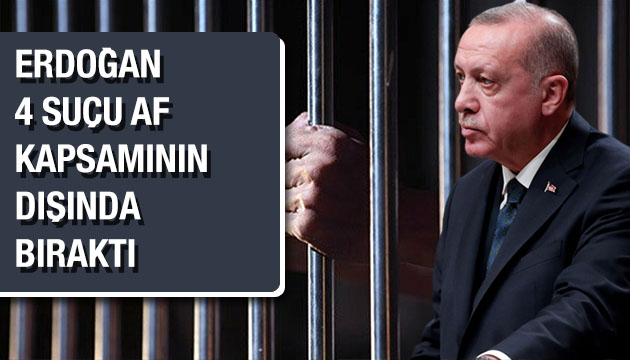 Erdoğan 4 suçu af kapsamının dışına itti