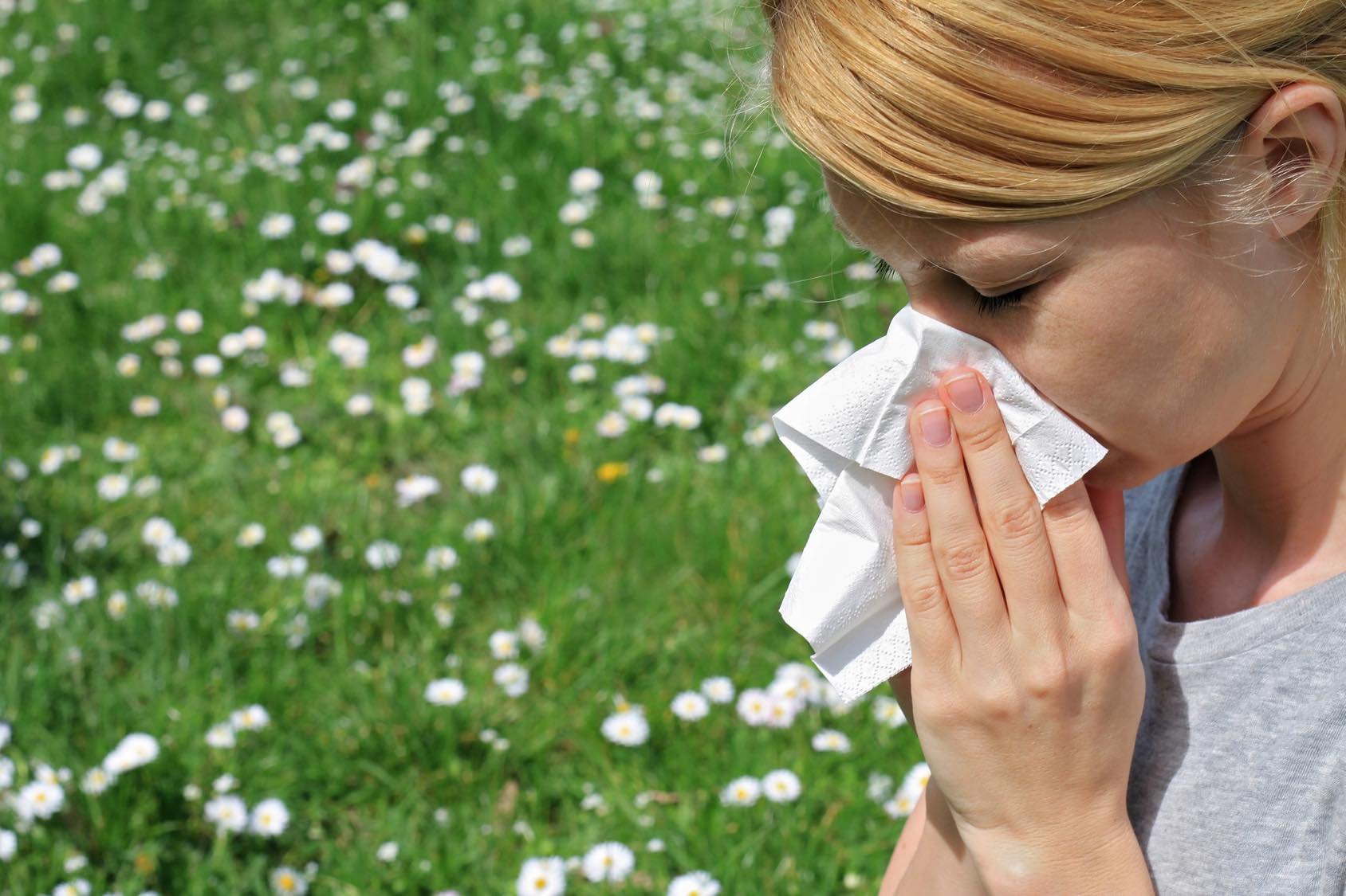 İklim değişikliği, alerjinin şiddetini ve görülme sıklığını artırıyor