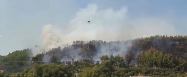 Antalya da orman yangını!