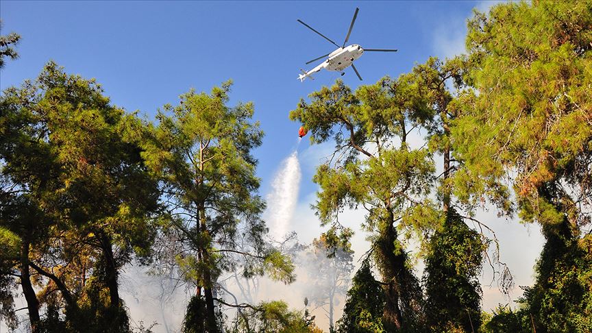 Antalya nın Serik ilçesinde orman yangını çıktı