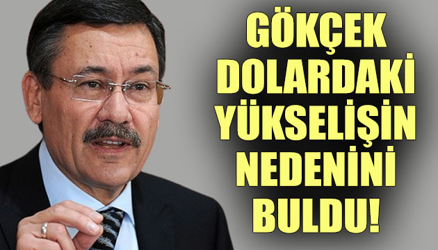 Ankara Büyükşehir Belediyesi eski Başkanı Gökçek, dolardaki yükselişin nedenini buldu