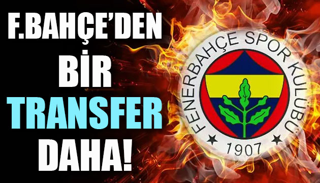Fenerbahçe den bir transfer daha!