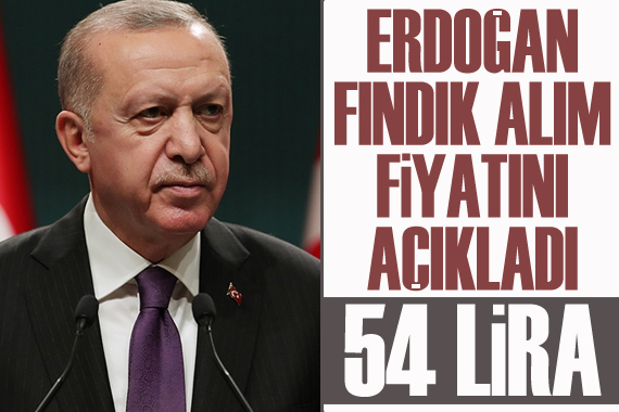 Erdoğan fındık alım fiyatını açıkladı: 54 Lira