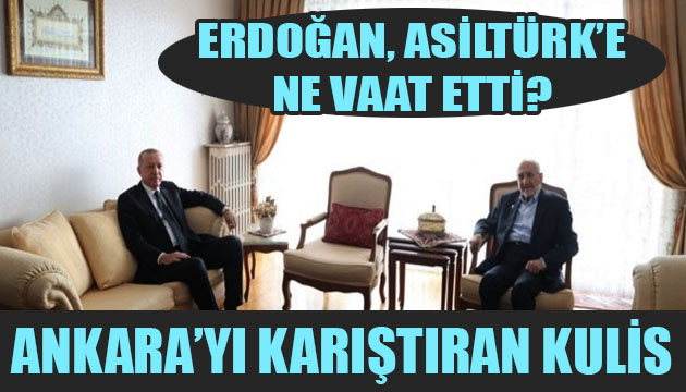 Erdoğan, Asiltürk e ne vaat etti? Ankara yı karıştıran kulis