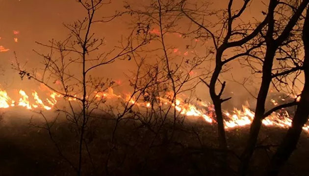 İzmir deki orman yangını sürüyor!