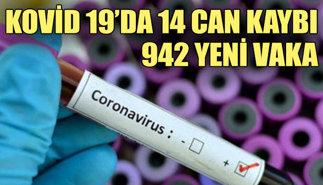Koronavirüste can kaybı 5 bin 659 a yükseldi