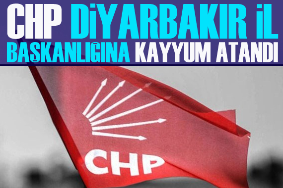 CHP Diyarbakır İl Başkanı Gönül Özer’in yerine kayyum atandı