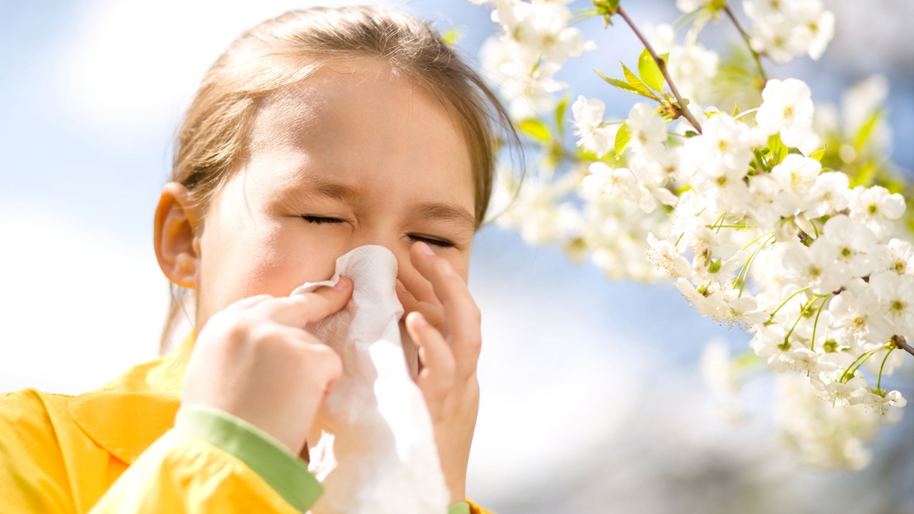Bahar alerjisini 10 adımda hayatınızdan çıkarın!