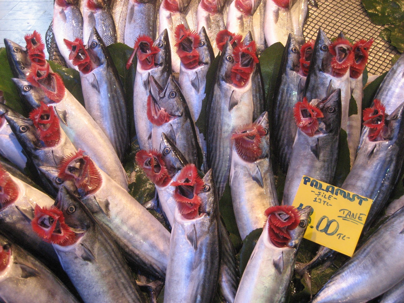 Balık yemek kanser riskini azaltıyor
