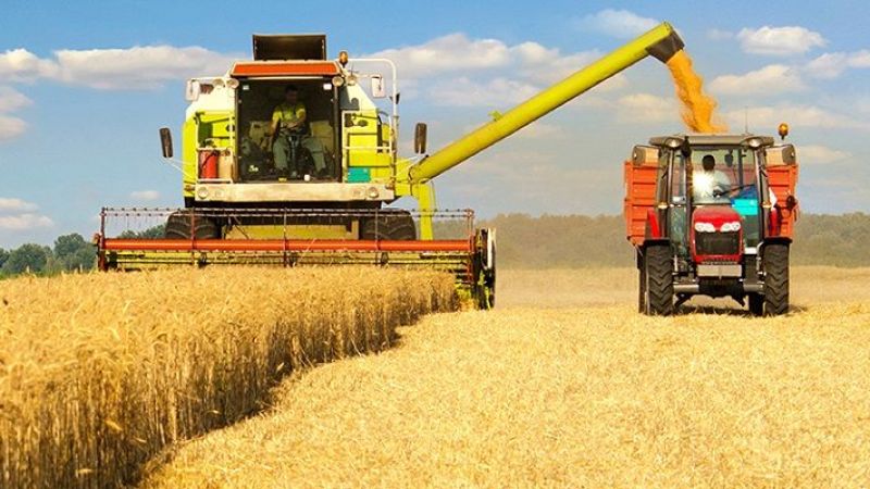 Türkiye, Venezuela da buğday ekimine başlıyor