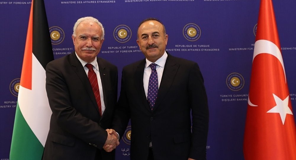 Çavuşoğlu, Riyad el-Maliki ile görüştü