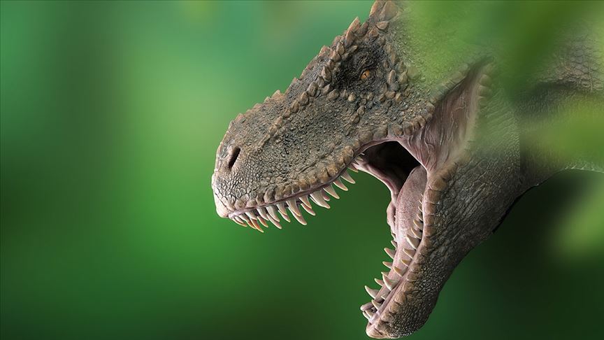 T-Rex lerin kafataslarında klima işlevi gören delikler keşfedildi