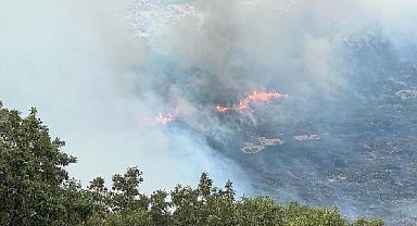 Diyarbakır’daki orman yangını kontrol altında