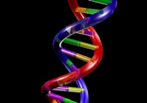 Türk bilim adamından  DNA onarımı  buluşu!