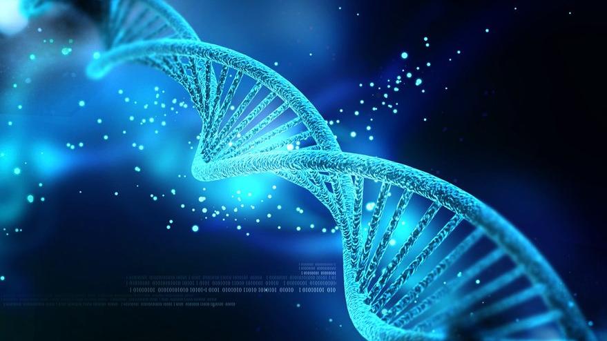Hastalıklardan korunmanın formülü: DNA’nızı koruyun