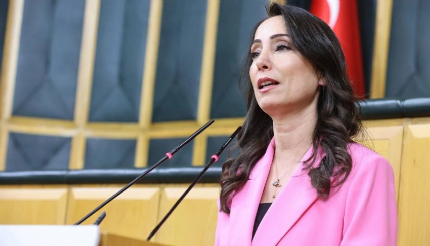 DEM Parti'den geri ad�m