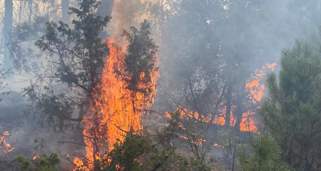 Eskişehir deki orman yangını büyüyor... Kara yolu trafiğe kapatıldı!