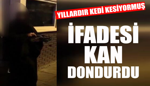 Kedi kesen kadının ifadesi kan dondurdu