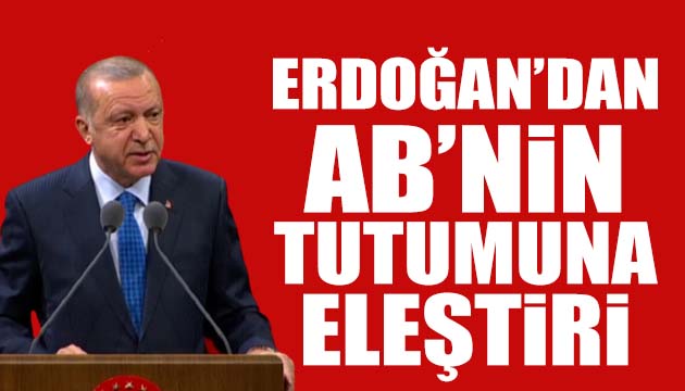 Erdoğan dan AB nin tutumuna eleştiri
