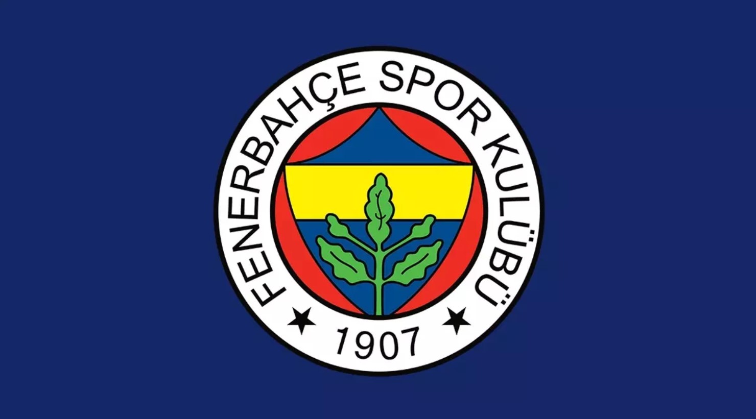 Fenerbahçe den yeni yıl mesajı