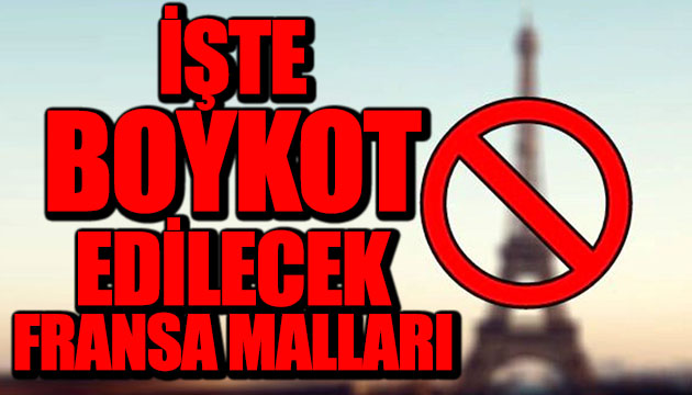 Türkiye de satılan Fransız malları hangileri?