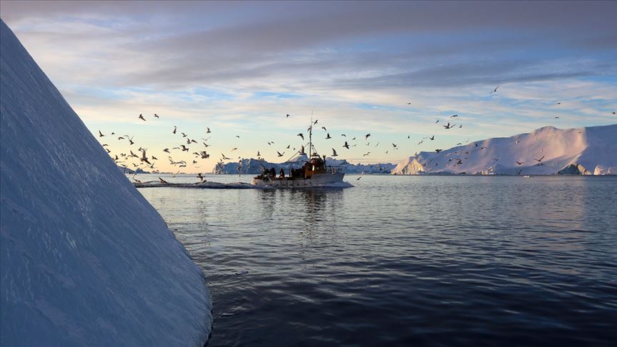Grönland da buzul koptu: 1 ölü