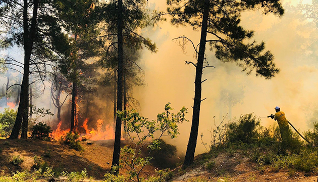 Manisa Soma da orman yangını
