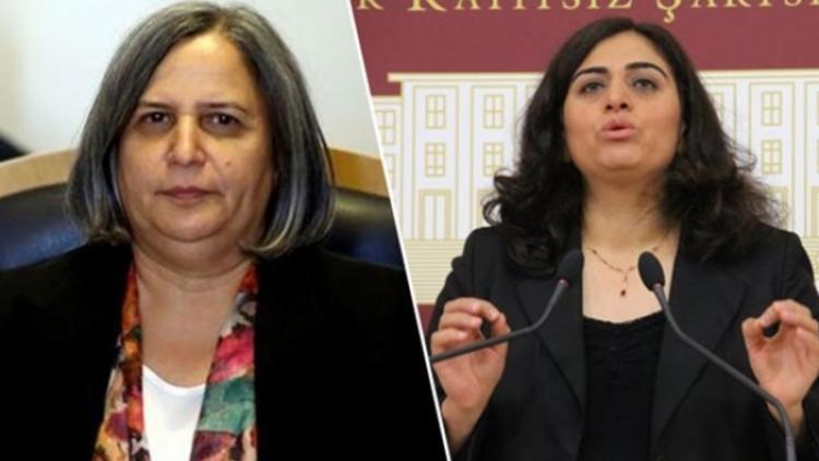 Bel incelten kür ibrahim saraçoğlu ile Etiketlenen Konular 56