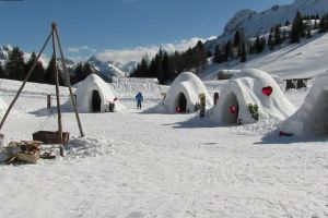Göçmenler Alp Dağları nda iglo inşa etti
