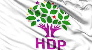 HDP li vekile 2 yıl 6 ay hapis cezası