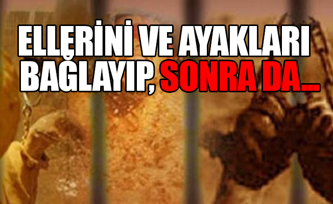 İstanbul da bodrum katında  15 insanın cesedi bulundu