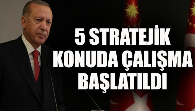 Erdoğan talimat verdi,  5 stratejik konuda  çalışma başlatıldı