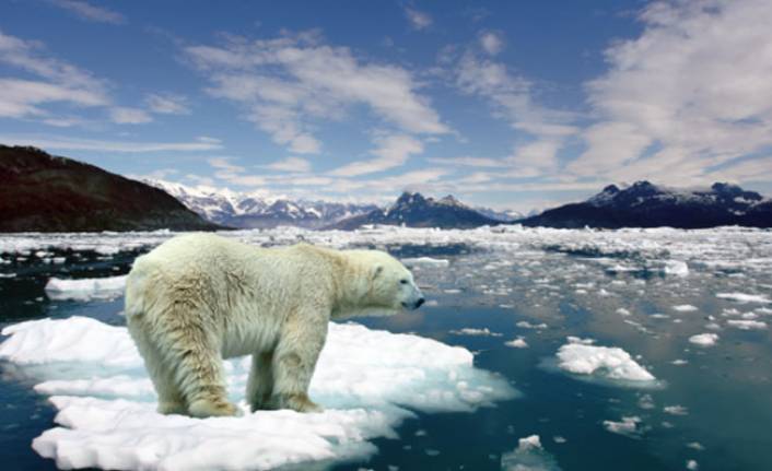 Bilim İnsanlarından felaket uyarısı: Buzullar eriyor!