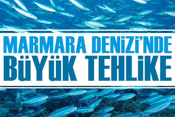 Marmara Denizi nde büyük tehlike!