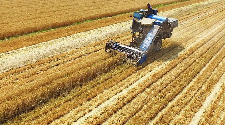Bakanlık,  buğday ithalatı  iddiasına yanıt verdi