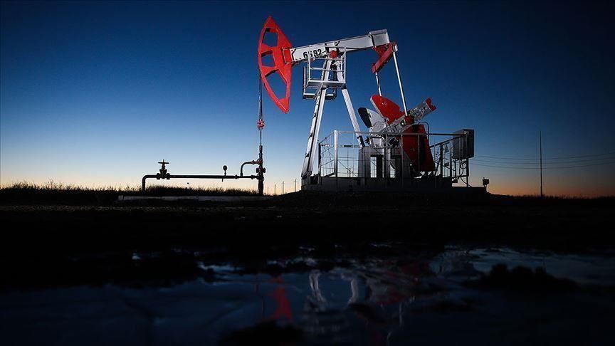 OPEC in petrol üretimi  azaldı