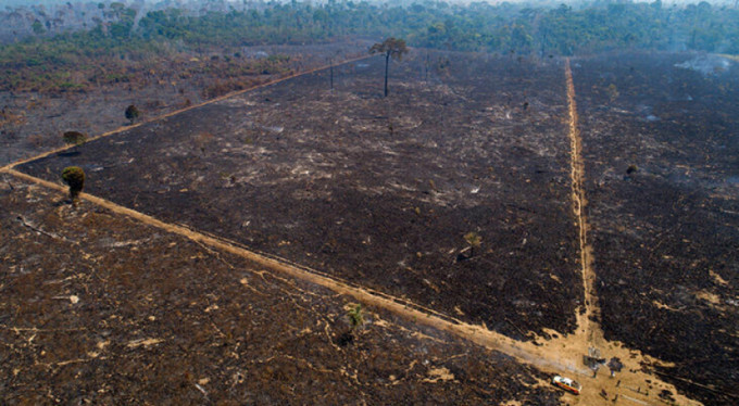 Amazonlarda orman yangınlarının önüne geçilemiyor