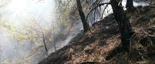 Bilecik te orman yangını uzun uğraşlardan sonra söndürüldü