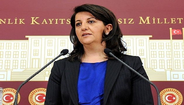 HDP Grup Başkanvekili Pervin Buldan: