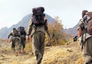 HDP li başkan dağa PKK lı götürürken yakalandı
