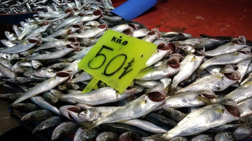 Balık fiyatı kırmızı etle yarışıyor!